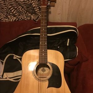 Washburn House of Blues Edition